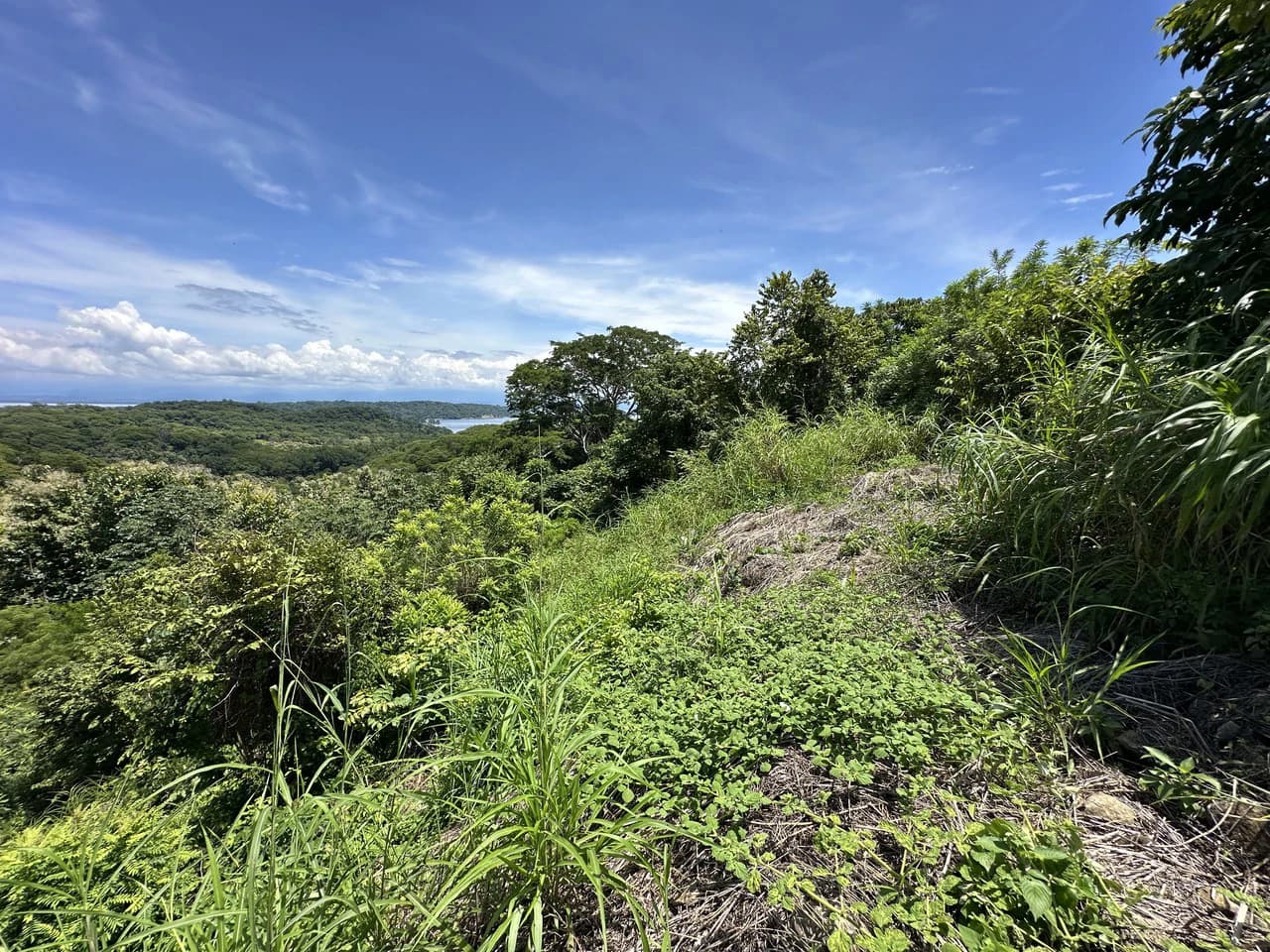 Lote by Naranjo Beach - Blue zone: Ocean View Lot By The Beach: Nicoya Peninsula - photo 6