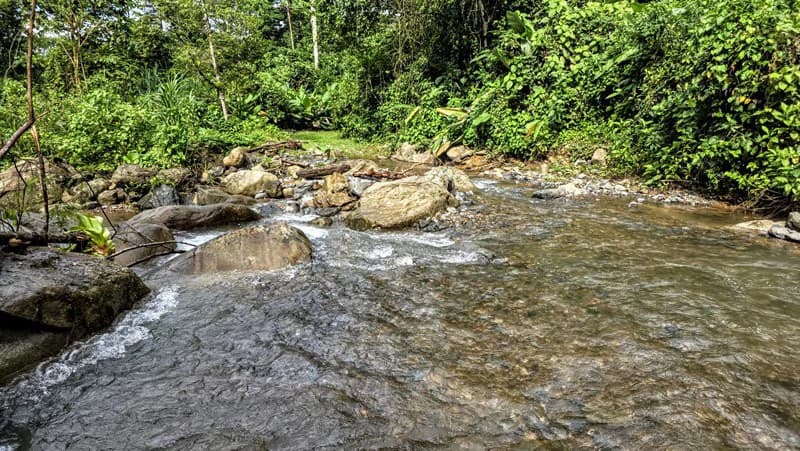 Waterfall Estate, Dos Bocas, Dominical Featuring Twin Waterfalls, Springs, Creeks & Rivers - photo 22