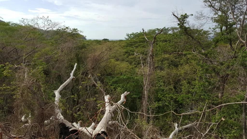 Large Commercial Development Property with Incredible Ocean Views in Playa Conchal, the Famous Gold Coast of Guanacaste - photo 2