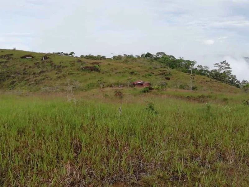 Amazing Self-sufficient 315 Acre Farm - photo 10