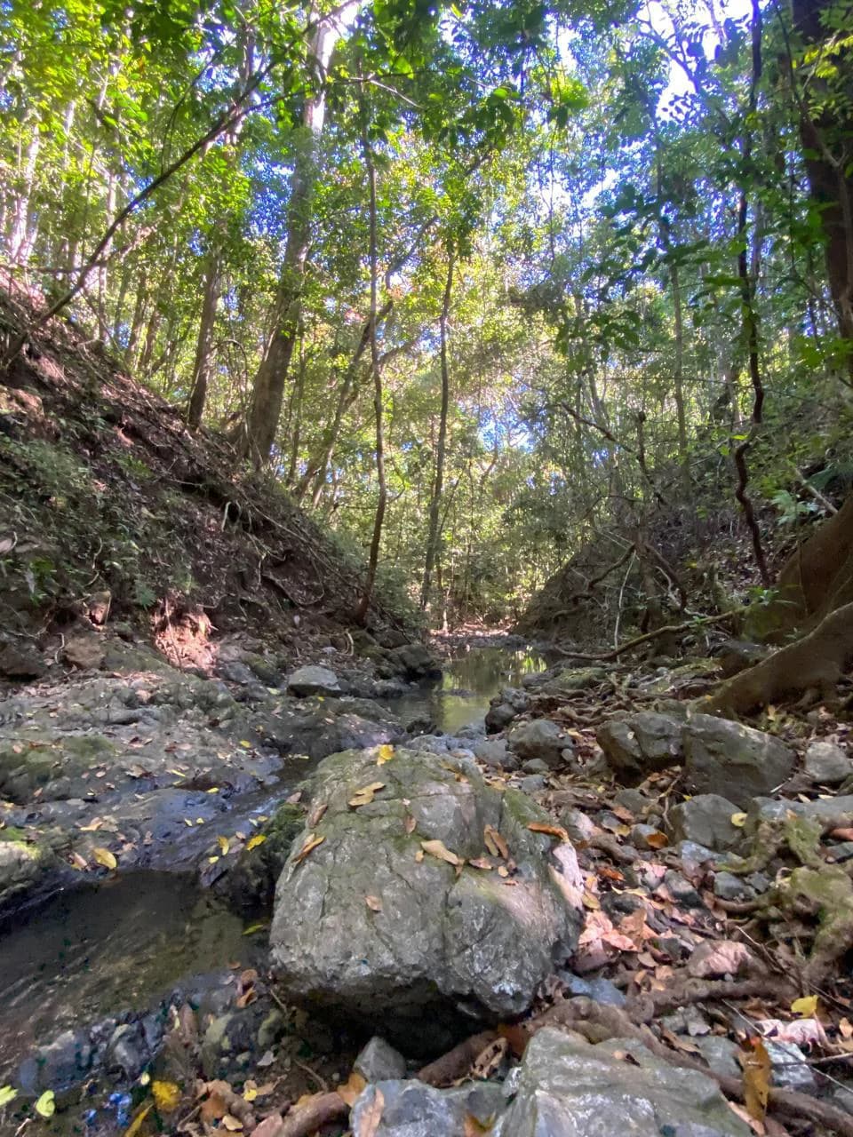 6000m2 Land Near Montezuma and Santa Teresa: ixed use, commercial and residential - photo 8