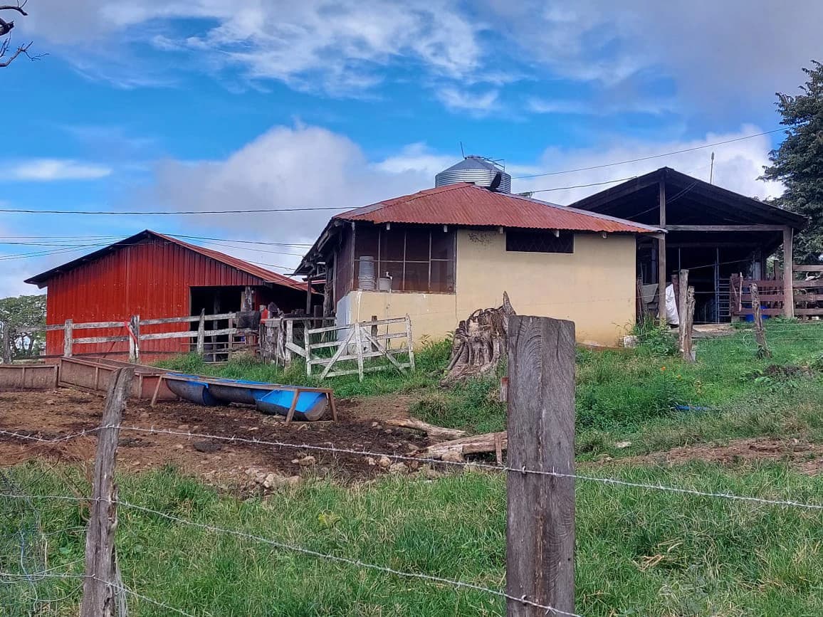 HACIENDA LOMBARDIA : Fully Operating Livestock Business - photo 21