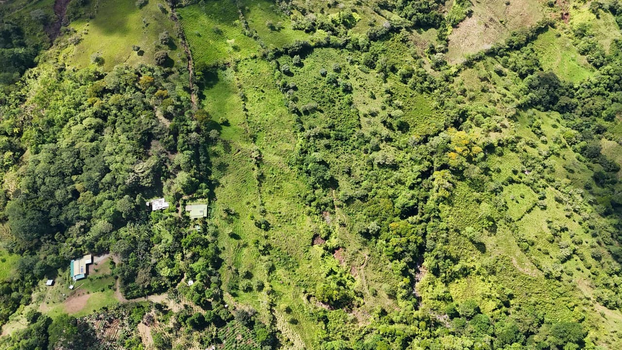 FINCA EN MIRAFLORES: Mountain Agricultural Land For Sale in El General - photo 2
