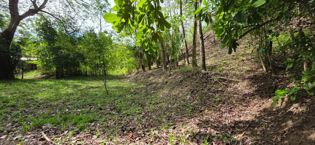 Lote Ceiba: Beautiful Peaceful Lot Near Barrigona Beach - photo 2