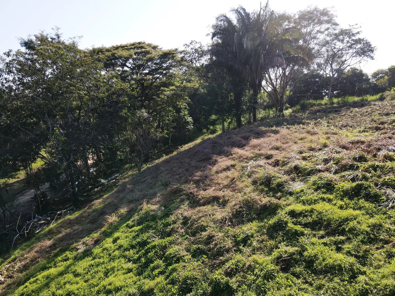 Front Row Mixed Use Property with an Easy Walk to Dominicalito Beach - photo 11