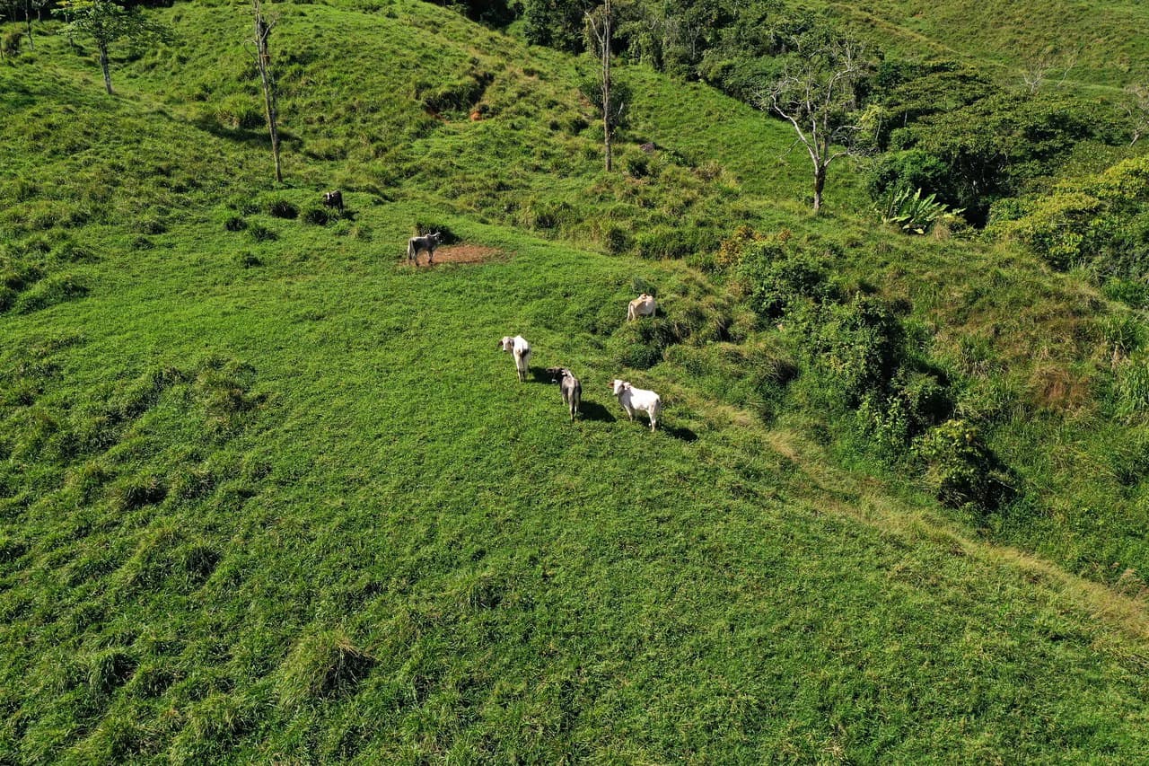 150 Acre Cattle Ranch with Panoramic Views Above the mountains of Uvita - photo 24