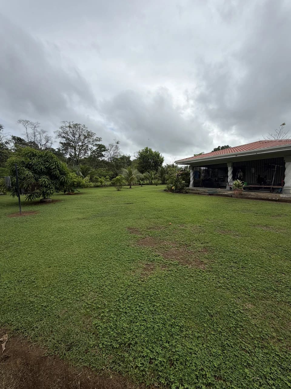 Country house with fruit trees for sales Upala Costa Rica - photo 11
