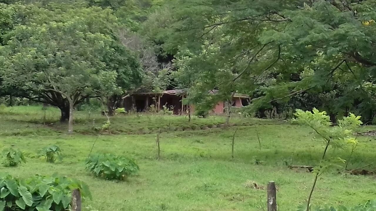 Big property with small house in Bijagua