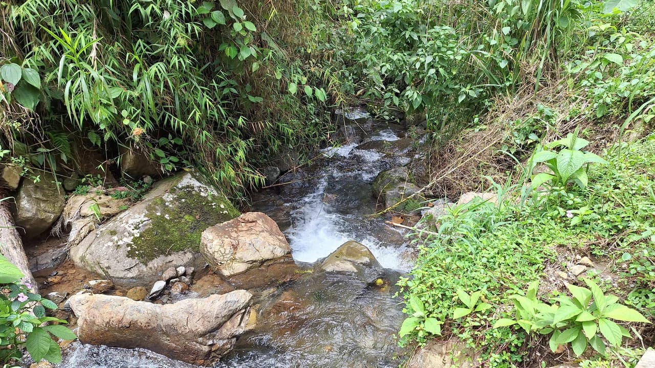 Propiedad en cedral: Mountain Home Construction Site For Sale in Cajón - photo 3