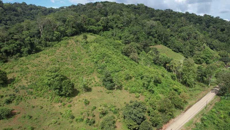 Ocean View & Primary forest 55-ha Rincon de Osa - photo 10