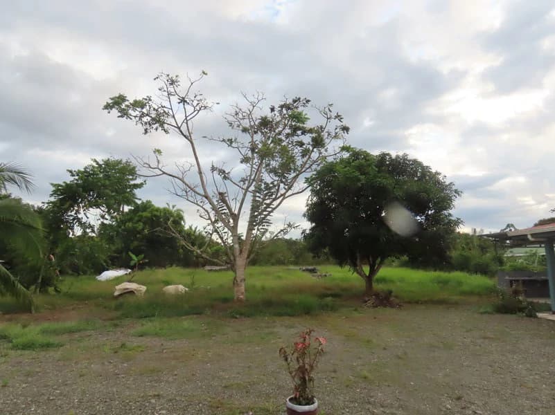 New Small Lodge in Playa Blanca Blue Flag Beach Cabina For Sale - photo 47