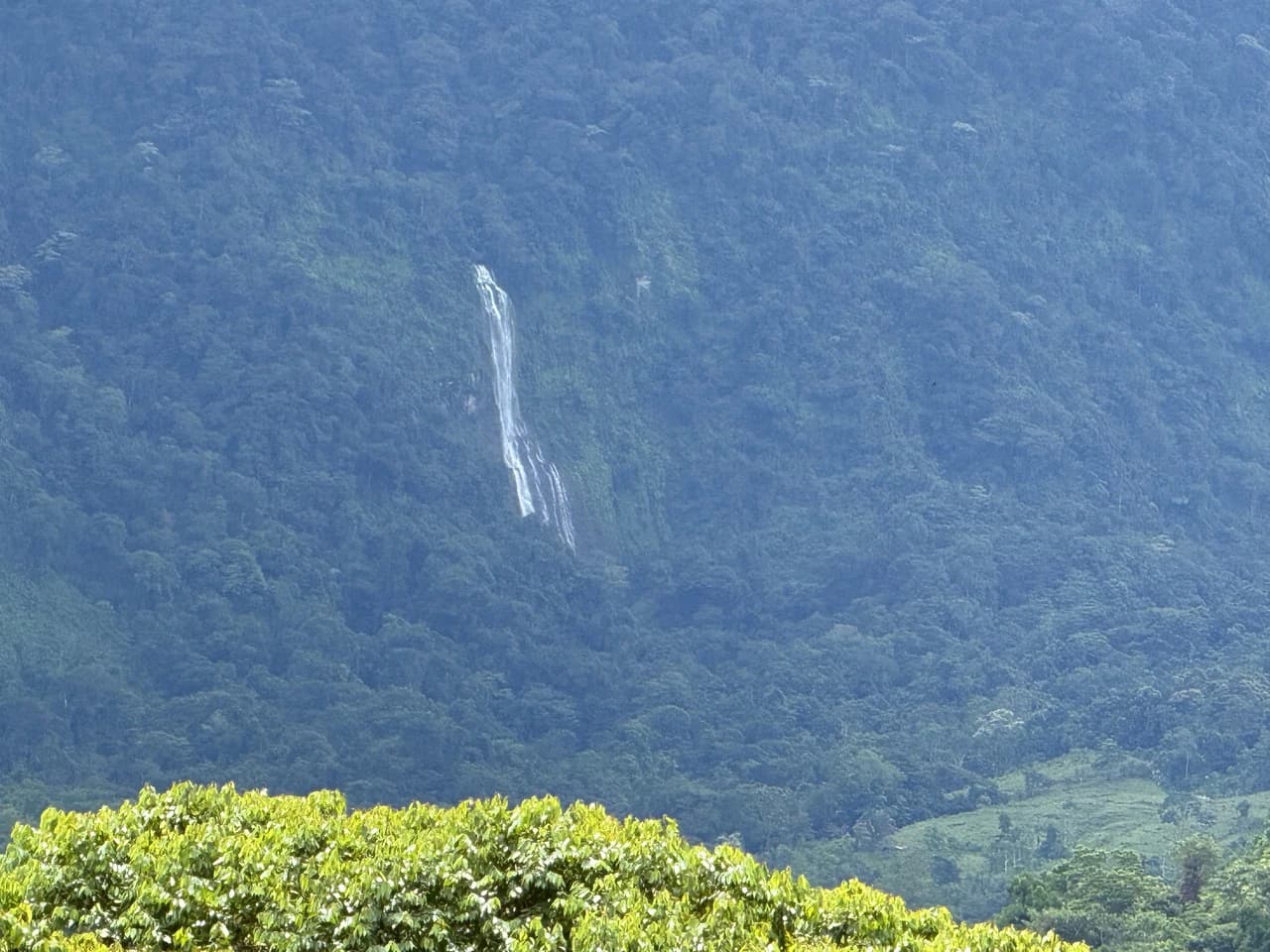 Diamante Waterfall View Land in Dominical 2.9 Acres - photo 20