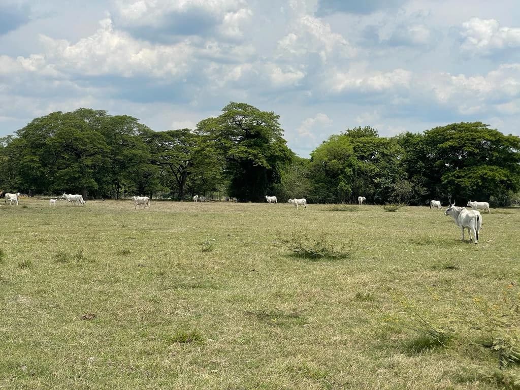 Farm for Sale to Develop Guanacaste Costa Rica - photo 2
