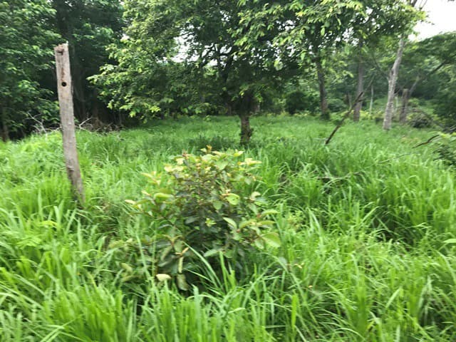 Ocean View Farm - photo 14
