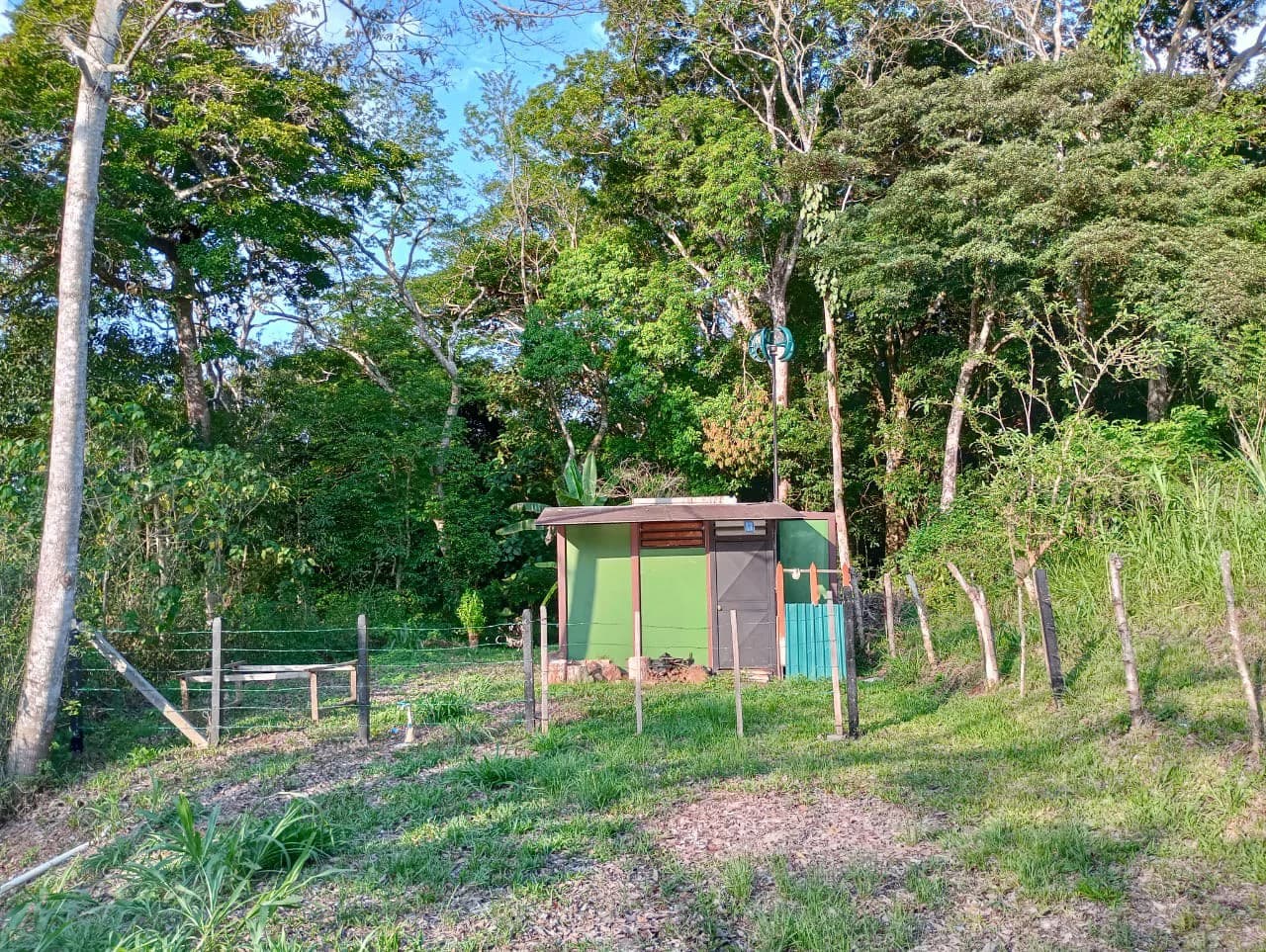 Jungle Paradise: Off Grid Studio Cabina Bordered By A Creek-Perfect For The Nomad Lifestyle - photo 5