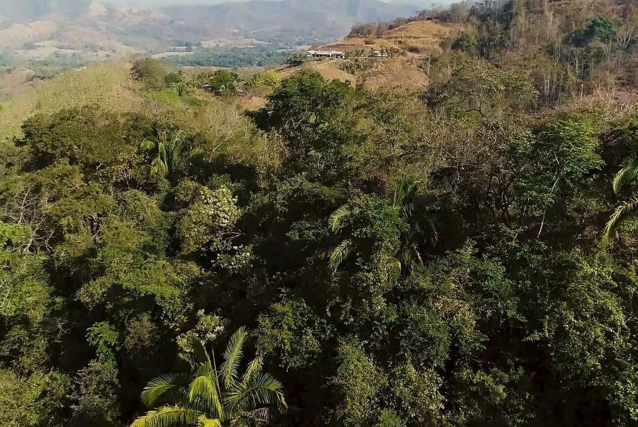 Finca Las Nubes: Amazing 75 Hectare / 185 Acre Finca, with a 300 m2 Main Home and Pool Built above the Clouds - photo 26
