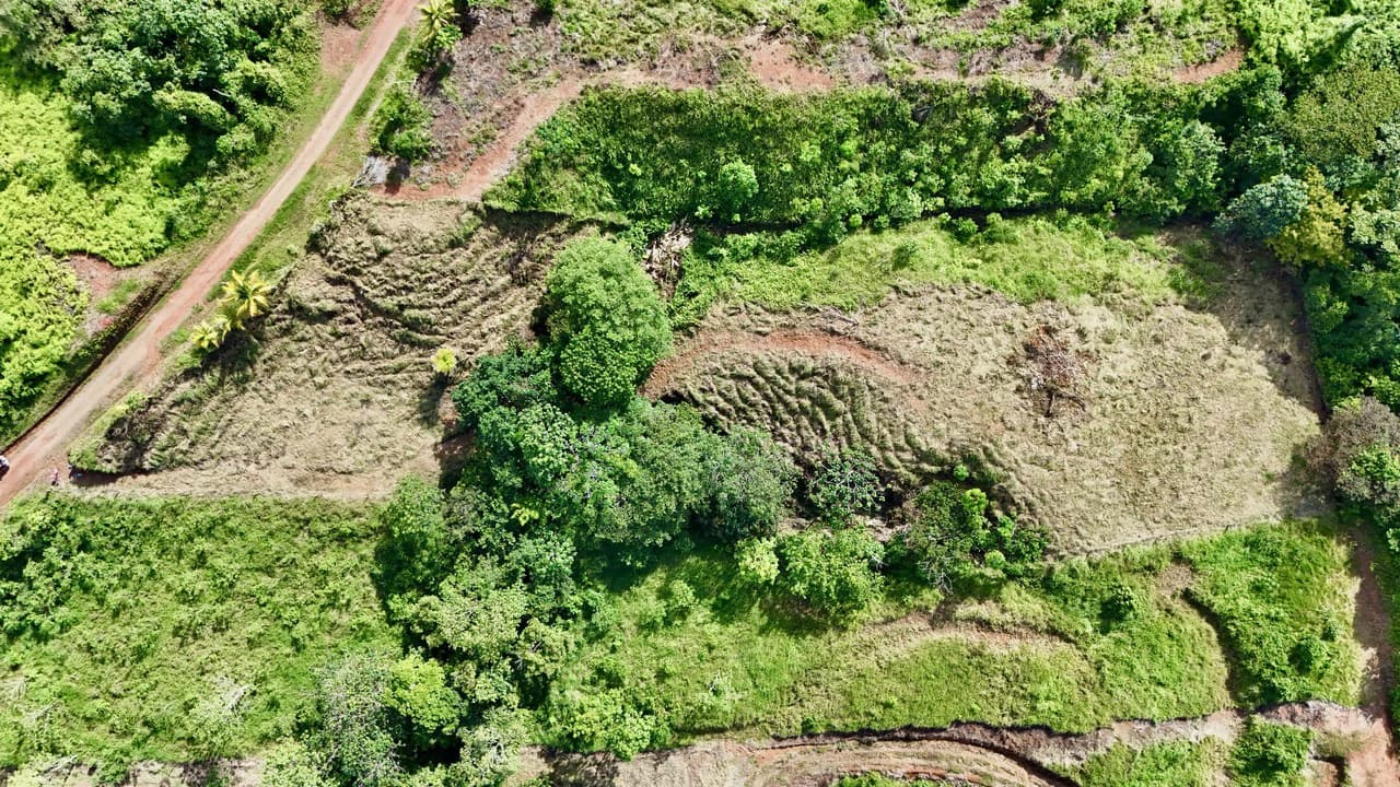 Off-Grid Ocean View Lot | 1.7 Acres in Las Nubes Matapalo Hills - photo 15