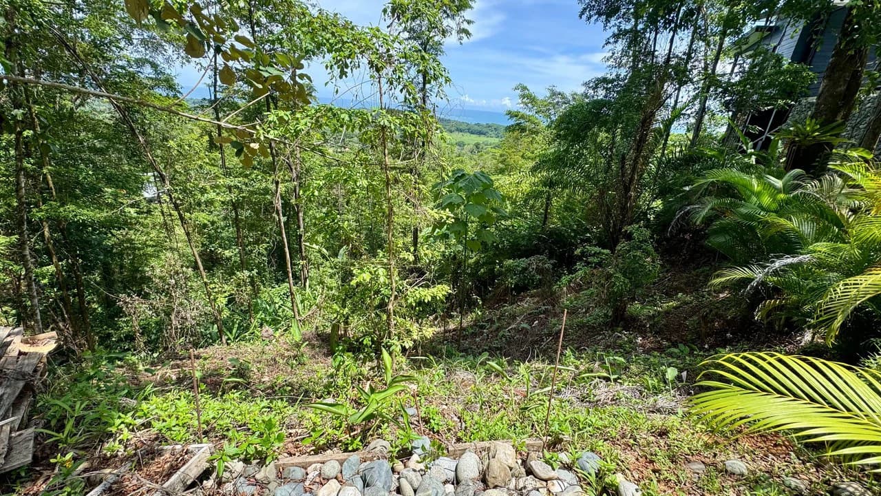Exclusive and Unique Ocean Views lot in the Hills of Uvita! - photo 3
