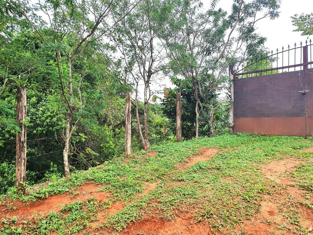 Land in Bijagual with a river crossing the property! - photo 7