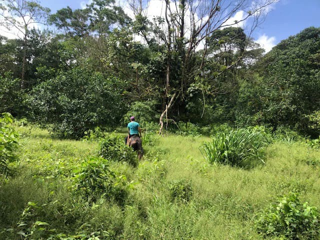 Hot and Cold Thermal Springs for Sale – Beautiful Property in Dos Ríos, Alajuela with Excellent Commercial Potential - photo 44