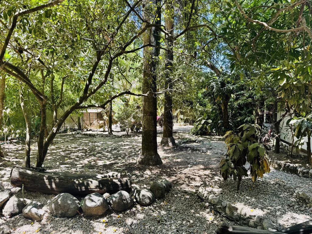 Casa Colibri: Tropical Home with Casita, Pool & Prime Buenavista Location - photo 16