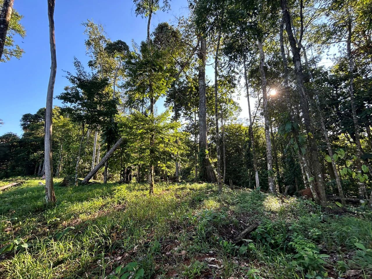 Marvelous Ocean View Parcel in Uvita. - photo 21