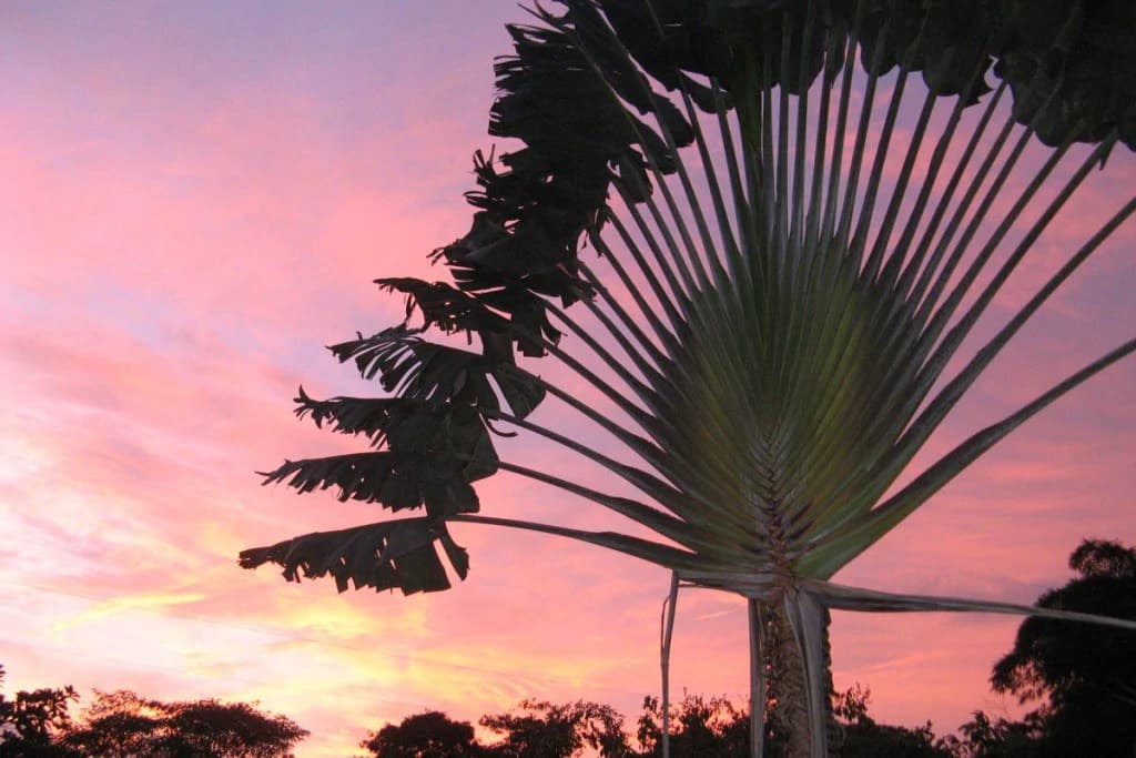 Hotel Horizontes Montezuma: Stunning Boutique Hotel in Montezuma near New Cobano Airport - photo 29