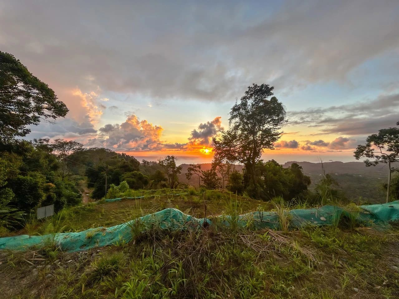Year-Round Sunset Views | 3 Connected Build-Ready Lots - photo 4