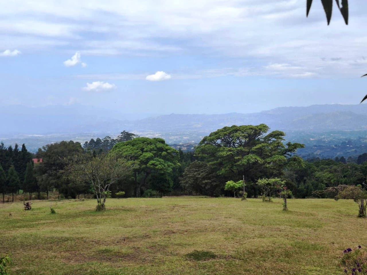 Mountaintop Canvas!: 31,000m2 - Entrepreneur's Dream Property! - photo 3