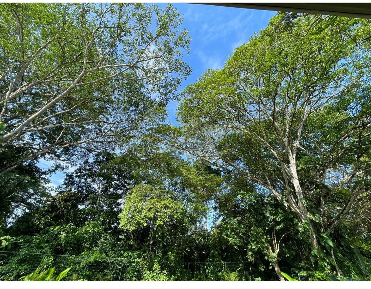 0.17 ACRES – 3 Bedrooms, Brand New Luxury Home in Uvita, Minutes From Beaches and Services, Wooded Lot, Year Round Stream, Private And Fully Furnished, Ready to Move!!! - photo 31