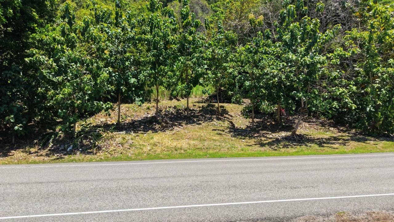 Near the Coast Home Construction Site For Sale in Ciudad Cortés - photo 9