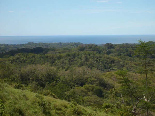 Ocean View Farm - photo 3