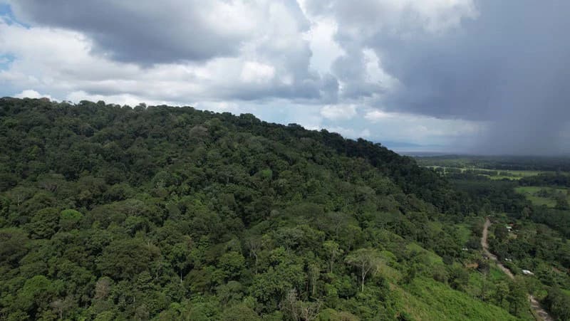 Ocean View & Primary forest 55-ha Rincon de Osa