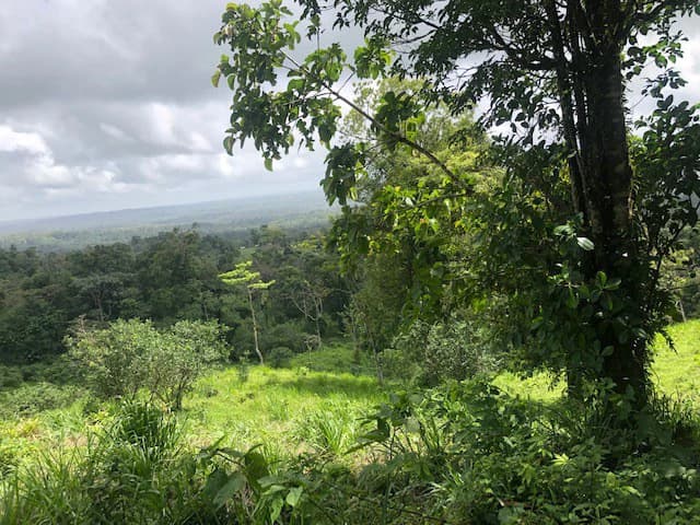 Hot and Cold Thermal Springs for Sale – Beautiful Property in Dos Ríos, Alajuela with Excellent Commercial Potential - photo 50