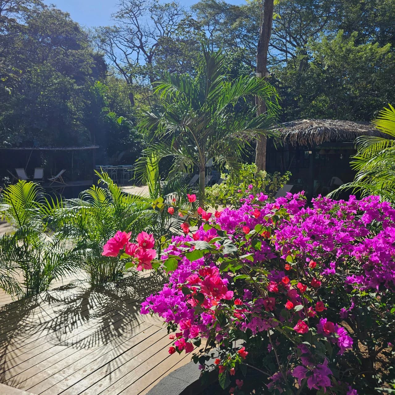 Successful Wellness and Spa with restaurant: One Of A Kind, Successful Wellness, Spa And Restaurant Oasis Close To Tamarindo - photo 20
