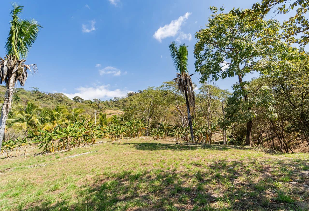 Lote Camaronal Natural: Half Acre Lot Just Mins to the Surf - photo 8