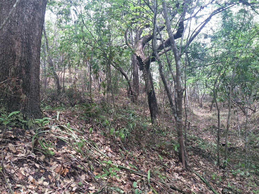 Finca grande: Economic Building property for sale in El Salto, with private access to the surrounding beautiful nature with own river - photo 13