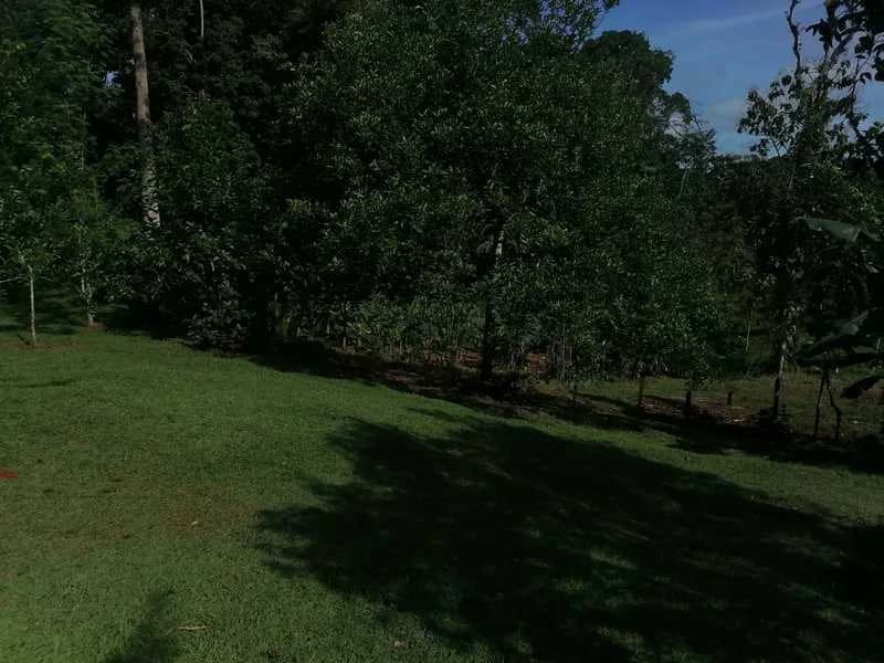 69.16 Acres Property | Mountain & Top Ocean View with Small Home - photo 26