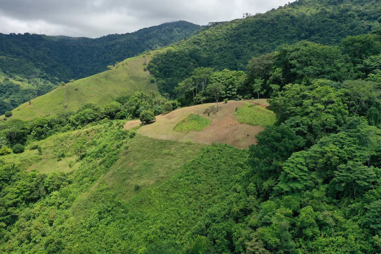 137 Acre Ocean View Farm with Riverfront in Southern Costa Rica - photo 20