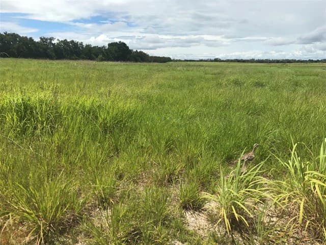 Large Development Land for Sale in Liberia, Guanacaste, Costa Rica - photo 55
