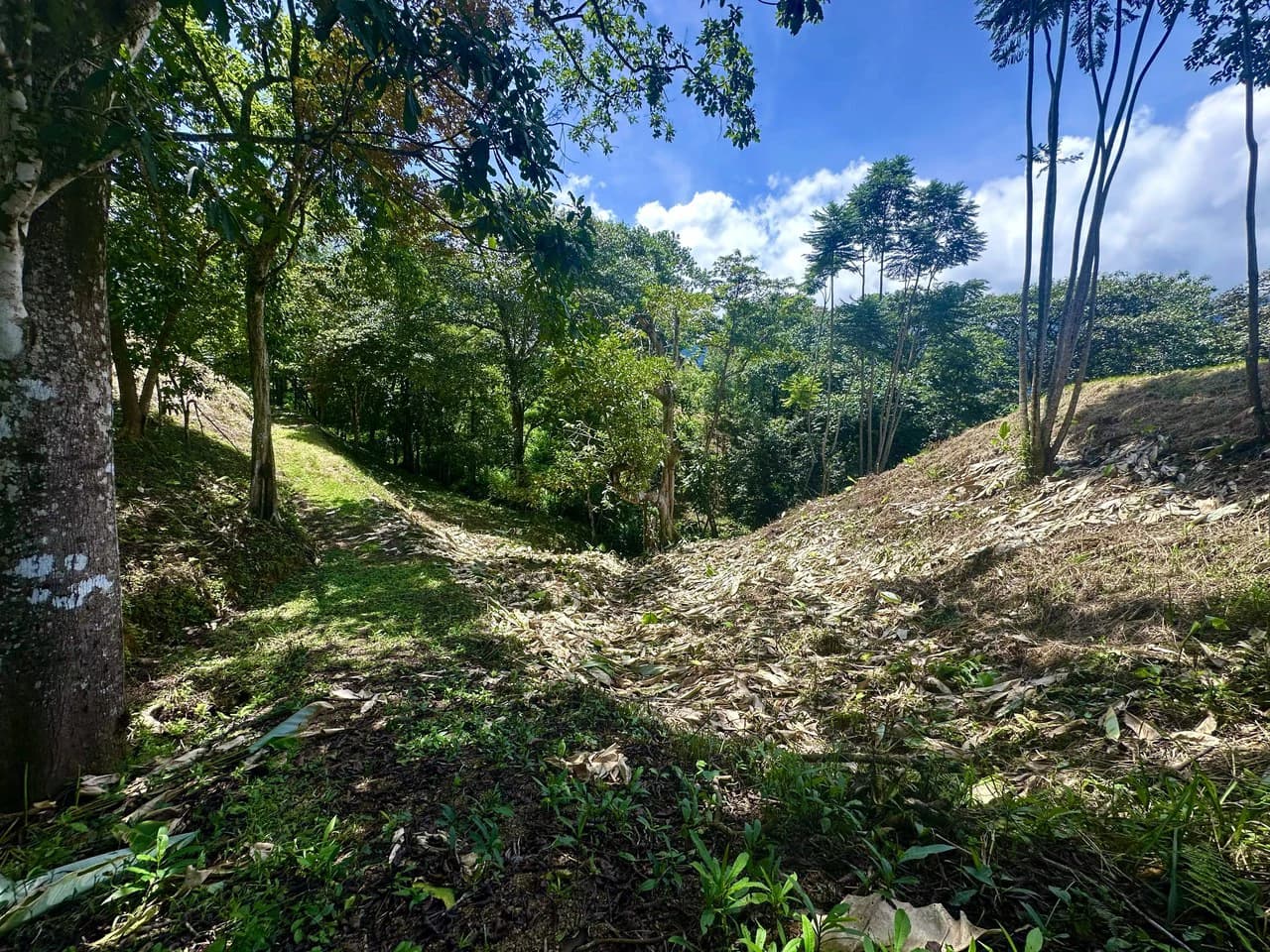 Build-Ready Lot in Ojochal’s Calle Cacique | Easy Access & Stunning Mountain Views - photo 4