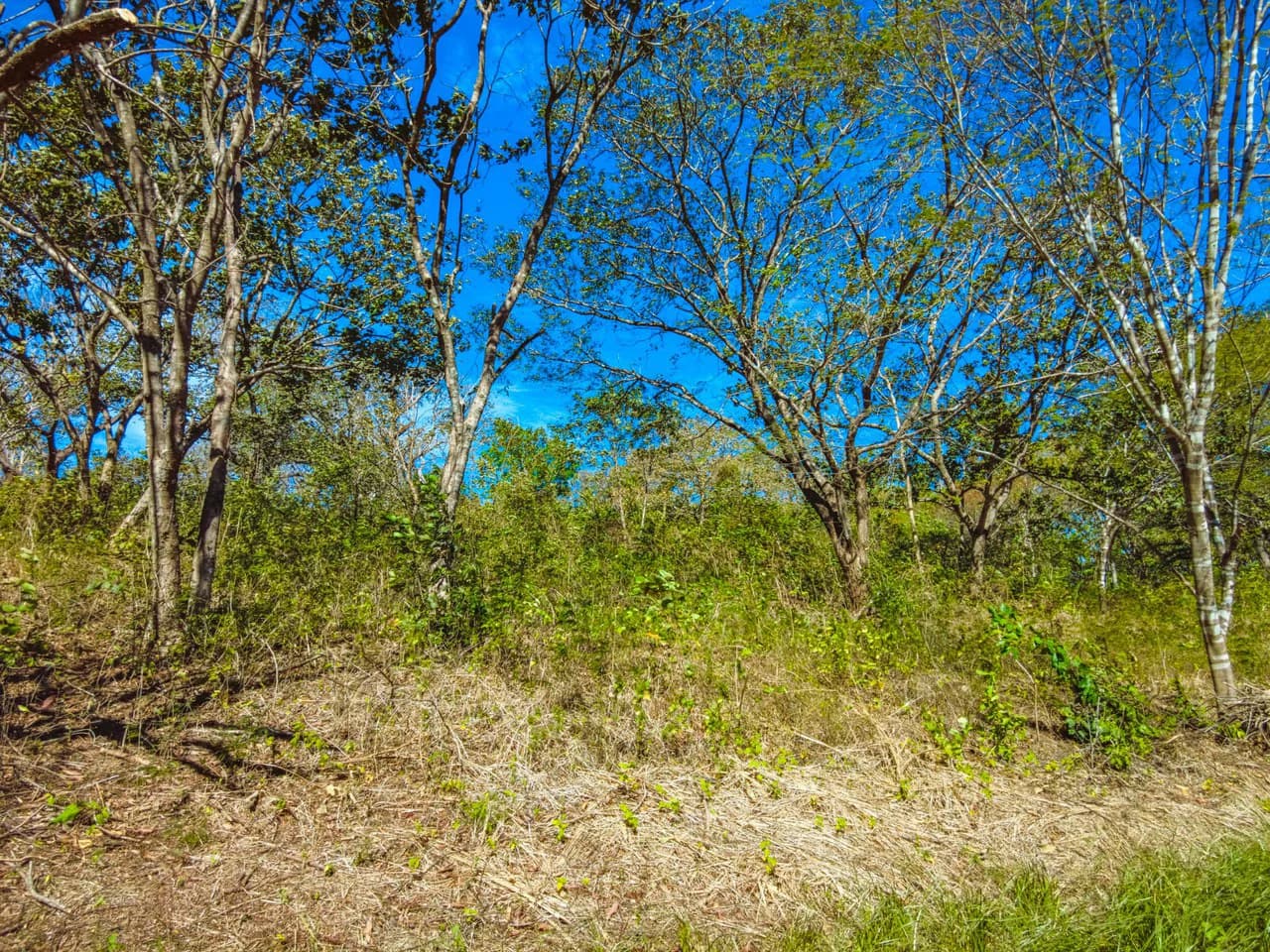 Tierra Pacifica #9: Secluded Lot in Gated Eco Community - photo 6
