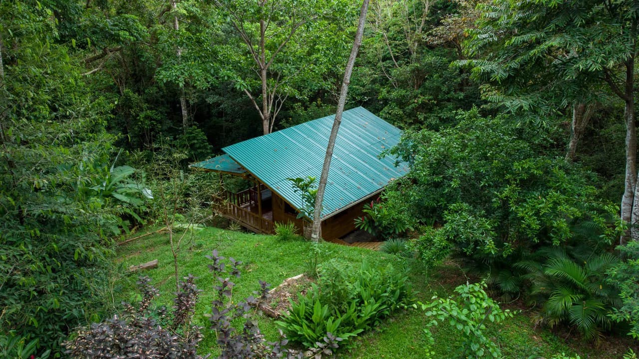 4 Bd/3 Ba - Two Caribbean Homes w/ Pool, on 5000m²: Dual Home Jungle Property in Punta Uva - photo 23