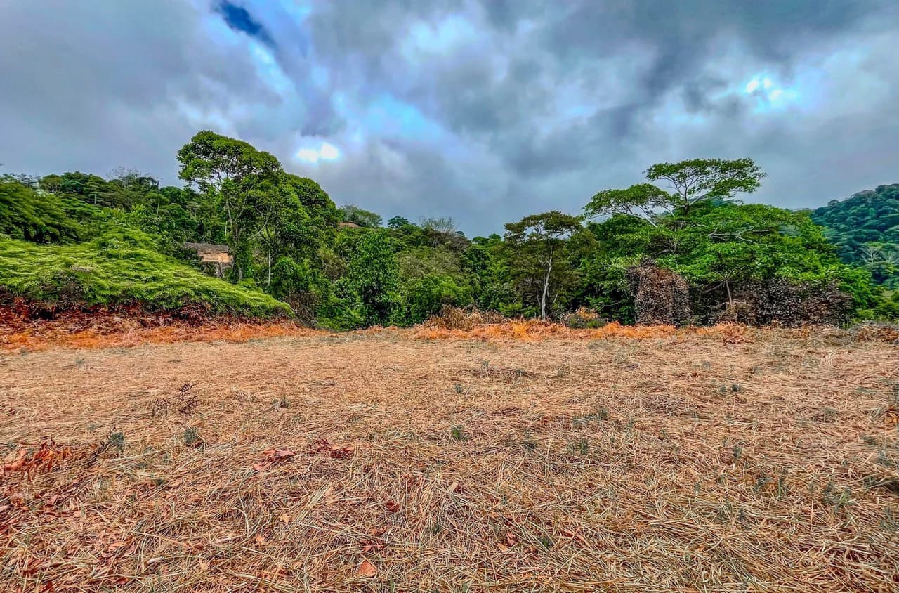 1.32 ACRES- Spectacular Ocean View In Tres Rios, Large Building Site, Legal Water And Electricity, Ready To Build & Close to Beaches!! - photo 5