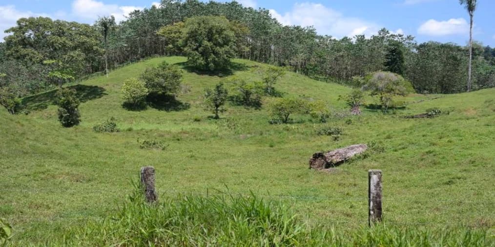 Countryside and Mountain Property For Sale in Pococi - photo 11