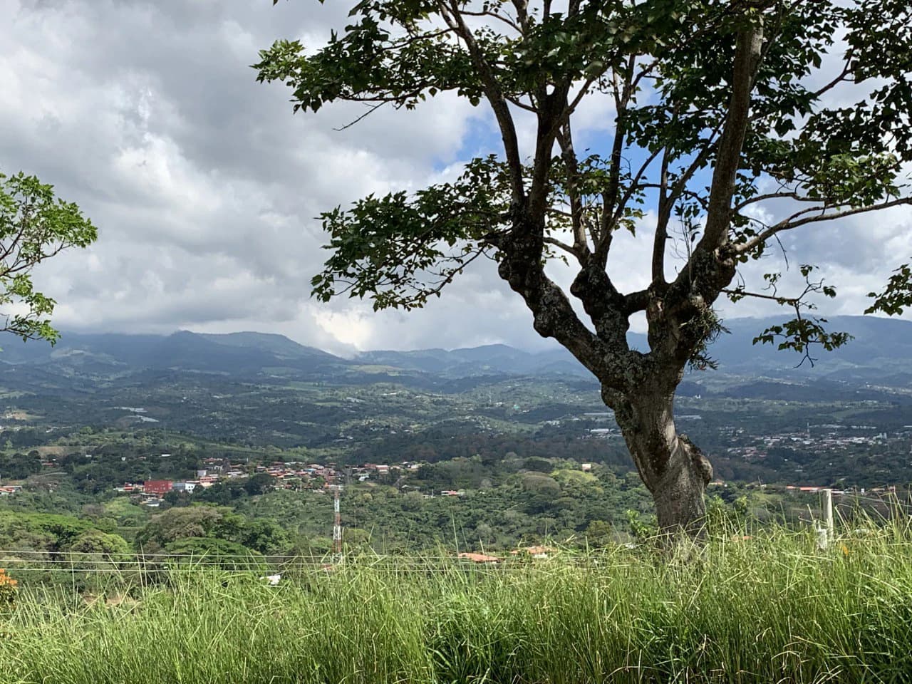 Home Construction Site For Sale in Naranjo - photo 4