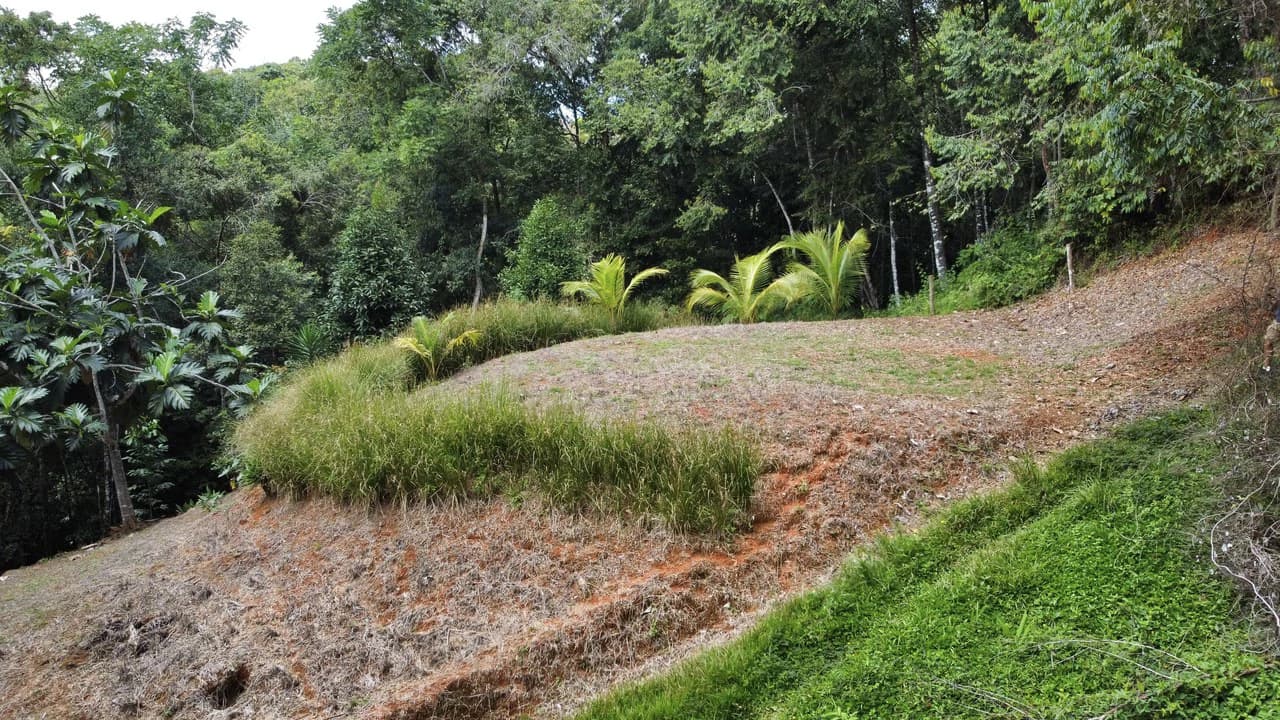 HALF ACRE LOT IN PLATANILLO, MINUTES TO THE BEACH OF DOMINICAL - photo 9