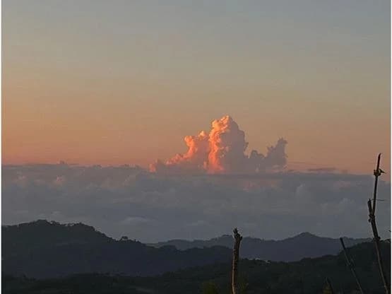 SPECTACULAR ECOLOGICAL MOUNTAIN FARM IN BIJAGUAL DE TURRUBARES - photo 3