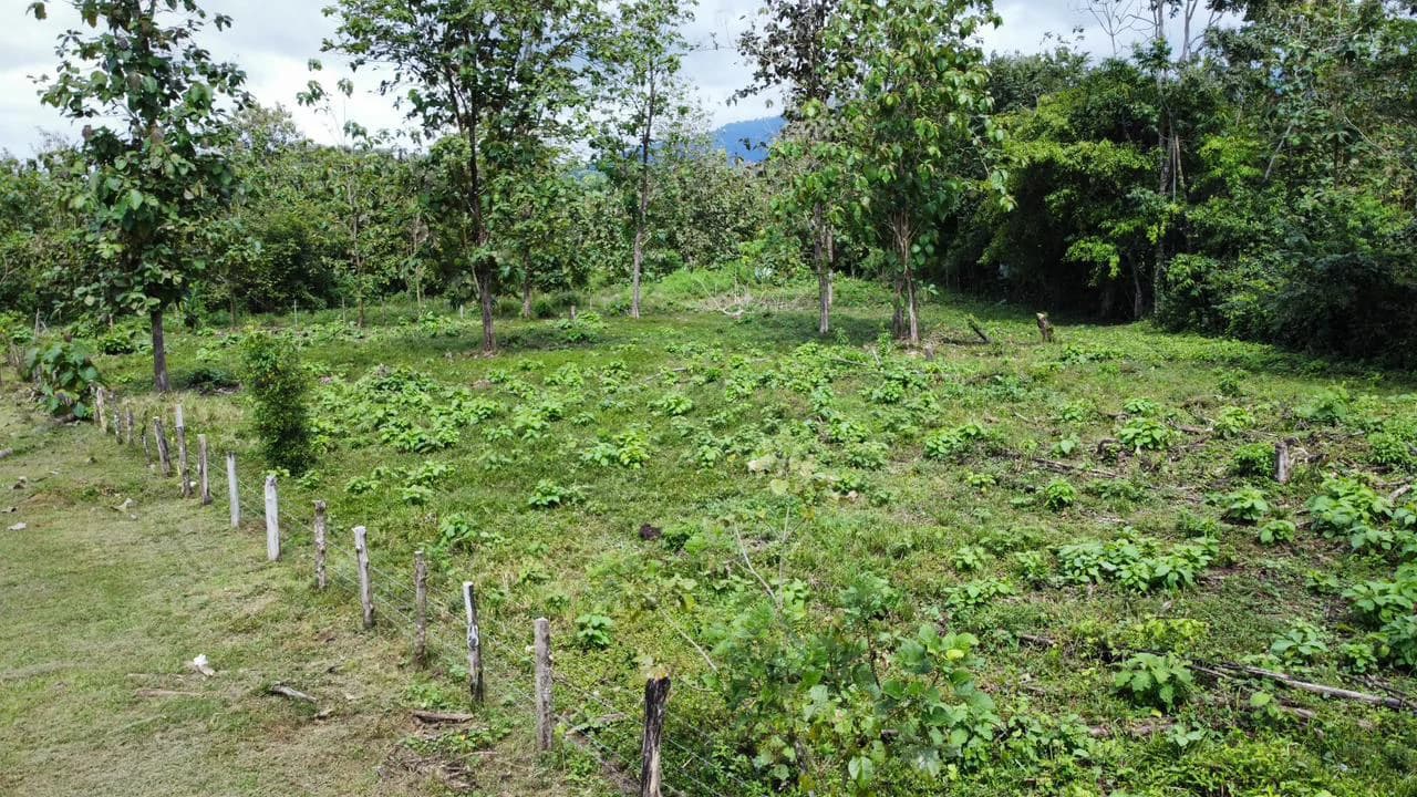 Off the grid property | Located in a privileged area, surrounded by natural beauty: Mountain Home Construction Site For Sale in Damas