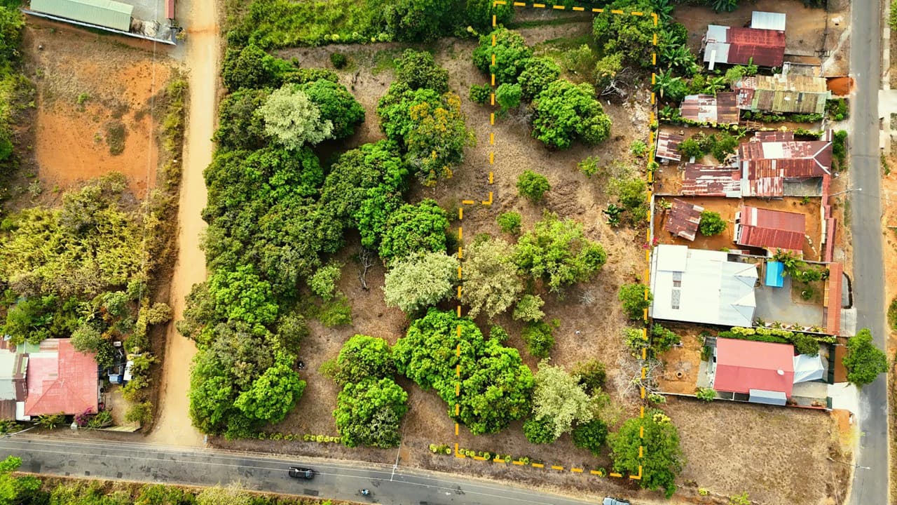 FRUIT TREE PROPERTY FOR SALE: Home Construction Site For Sale in San Isidro del General